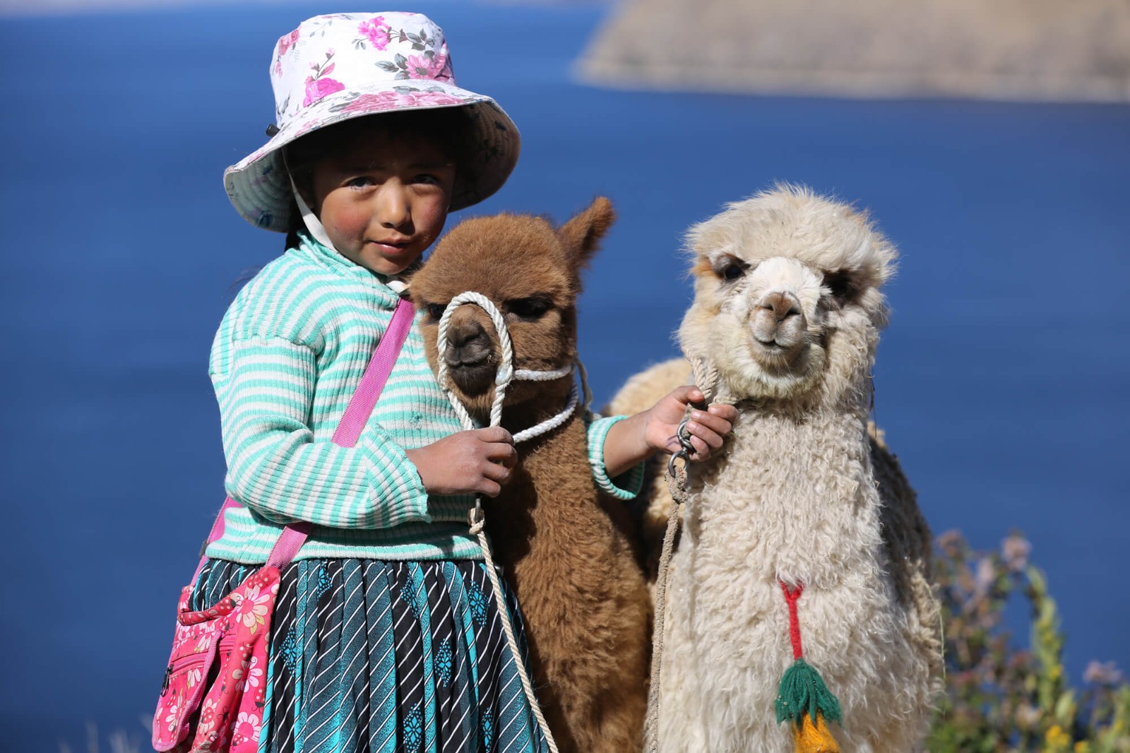 Katerina, Inti and Pancho, Titicaca lake